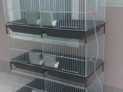 Kavezi za pilice i zeceve - Novi Sad