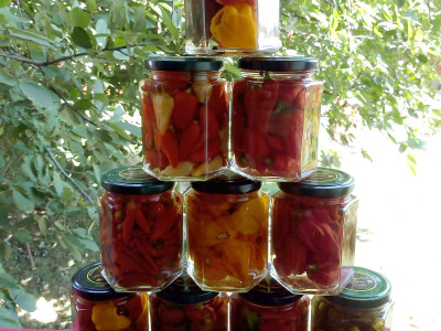 HOT PEPPERS ALBUM 350 gr.