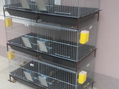 Kavezi za pilice i zeceve - Novi Sad