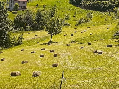 Porodično komplet domaćinstvo