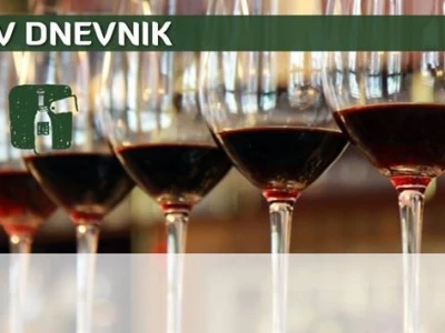 PODRUMAROV DNEVNIK