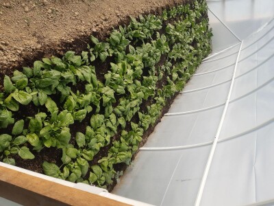 PLASTENIK 3,8X2,1X6,00 met