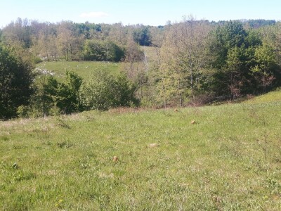 Zemljište 18ha - poljoprivredno i građevisko, super povoljno