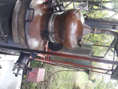 Domaća rakija šljivovica