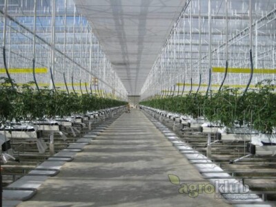 Dostava i montaža rabljenih i novih staklenika