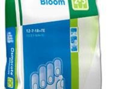 Osmocote Bloom 2-3M