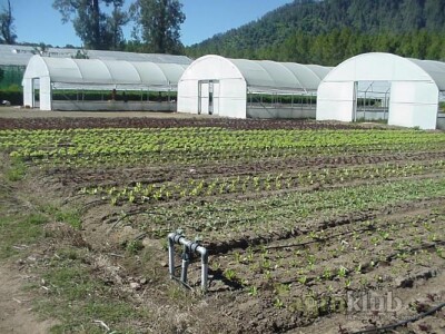 Dostava i montaža novih plastenika
