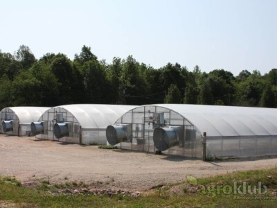 Dostava i montaža novih plastenika