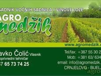 KVALITETNE VOĆNE I LOZNE SADNICE SVIH VRSTA