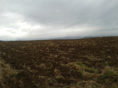 Na prodaju: Investicijsko i održivo poljoprivredno zemljište u Smiljanskom polju, blizu Gospića