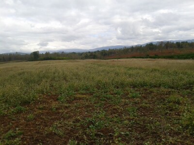 Na prodaju: Investicijsko i održivo poljoprivredno zemljište u Smiljanskom polju, blizu Gospića