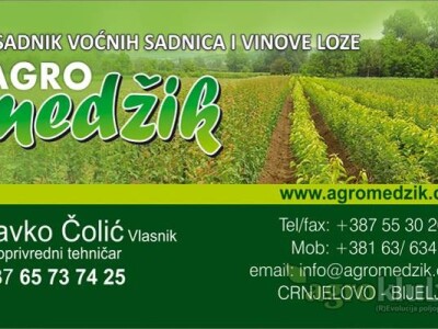 KVALITETNE VOĆNE I LOZNE SADNICE SVIH VRSTA