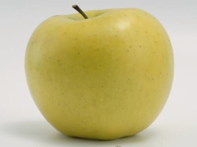 Luna sorta jabuke