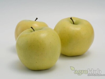 Luna sorta jabuke