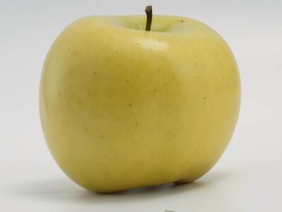 Luna sorta jabuke