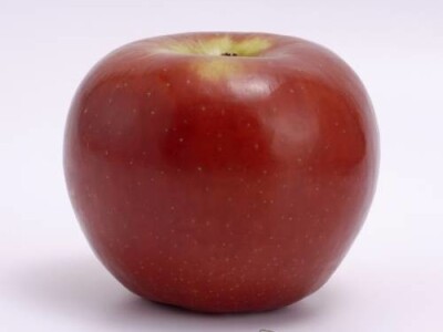 Rozela sorta jabuke