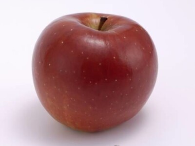 Rozela sorta jabuke