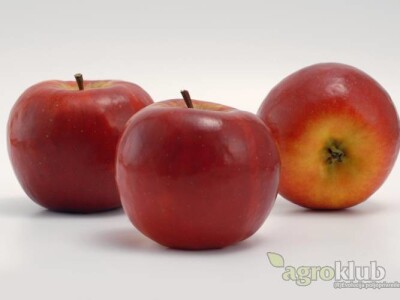 Red Topaz sorta jabuke