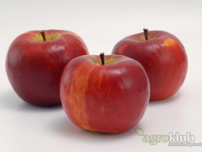 Red Topaz sorta jabuke