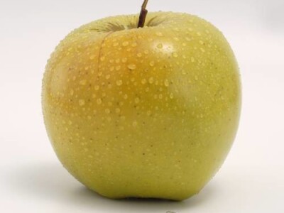 Sirius sorta jabuke