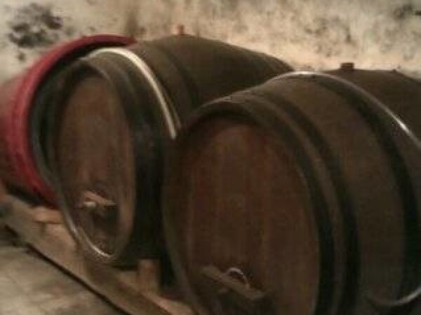 iznajmljujem podrum za vino ili voče