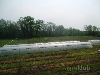 Prodaje se poljoprivredno zemljište u Zagrebu (Petruševec), 25000 m2 - VRT