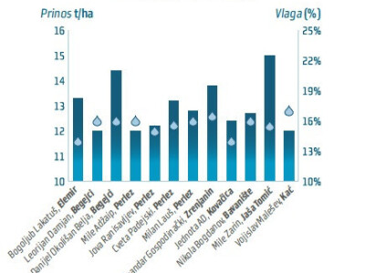 DKC5276 hibrid kukuruza