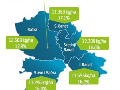 DKC4717 hibrid kukuruza