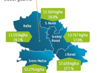 DKC5632 hibrid kukuruza