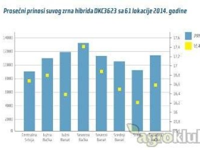 DKC3623 hibrid kukuruza