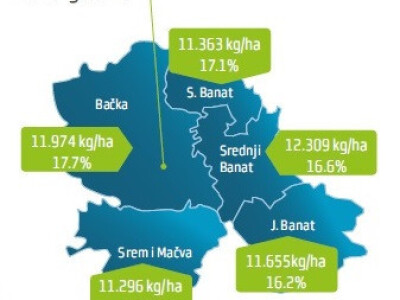 DKC4590 hibrid kukuruza