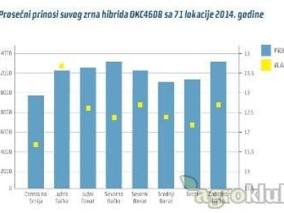 DKC4608 hibrid kukuruza