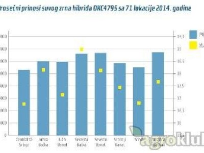 DKC4795 hibrid kukuruza
