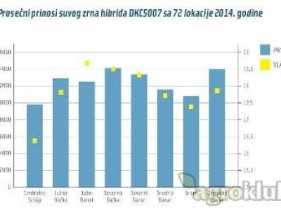 DKC5007 hibrid kukuruza