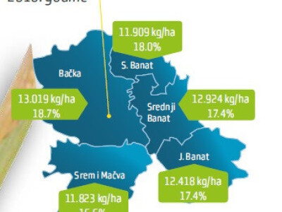 DKC5222 hibrid kukuruza