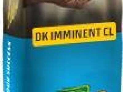 DK Imminent CL uljana repica