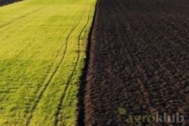 Kupujem livade i oranice