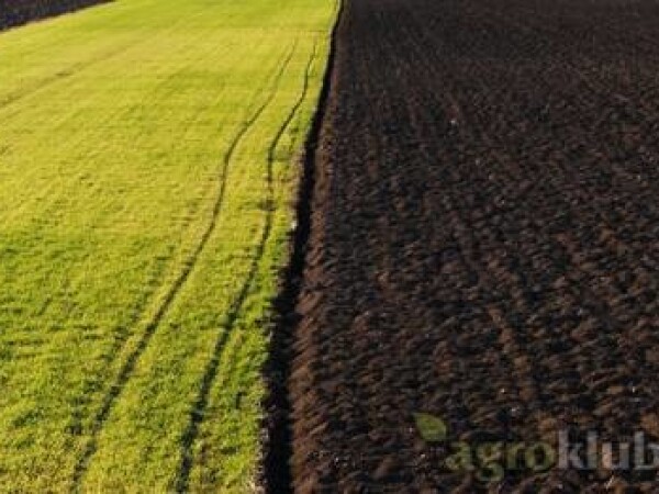 Kupujem livade i oranice