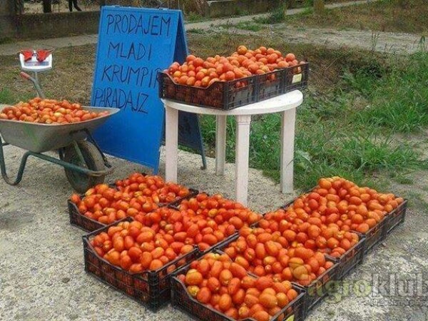 PRODAJEM PARADAJZ