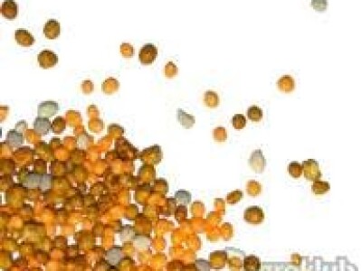 Agroblen Total 15-8-16+4MgO+18S