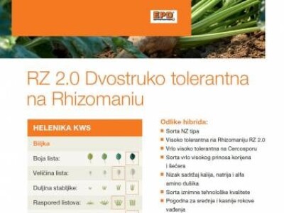 HELENIKA KWS -  NZ tip, RZ 2.0 / Cr - sjeme šećerne repe