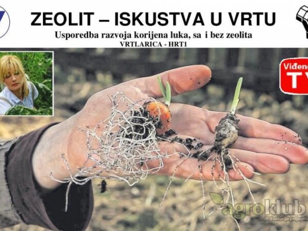 ZeoSand zeolit za presadnice