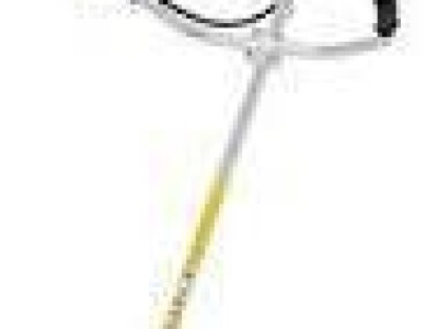 Motorna pila Stihl MS 231