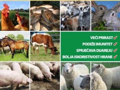 Zeofeed - zeolit za hranidbu životinja