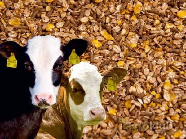 Savjetnik na terenu za hranidbu domaćih životinja (M), Bjelovarsko-bilogorska županija