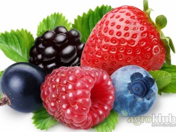 POLJOPRIVREDNO ZEMLJIŠTE U NAJAM