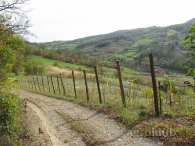 Vinograd, poljoprivredno zemljište, agroturizam: Zelina, Žitomir, 6950 m2