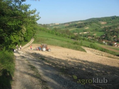 Vinograd, poljoprivredno zemljište, agroturizam: Zelina, Žitomir, 6950 m2