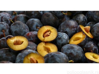 Prodajem šljivovu rakiju