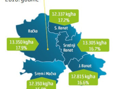 DKC5031 hibrid kukuruza